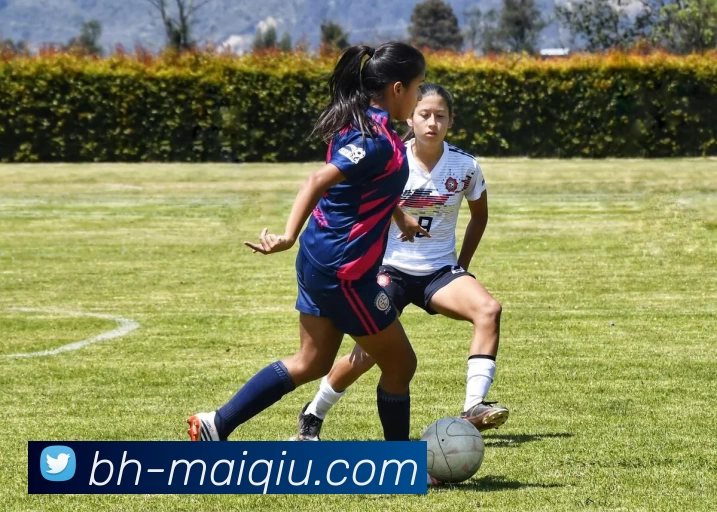 体育投注平台服务体系